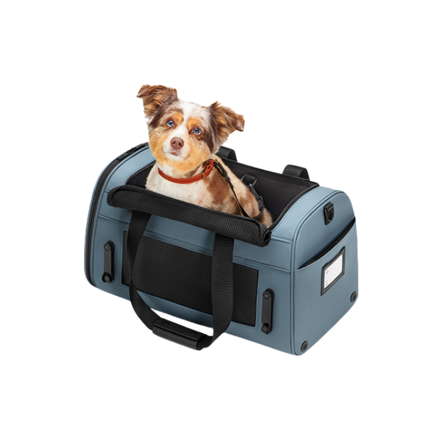 Dog Meets Baby Discount Codes